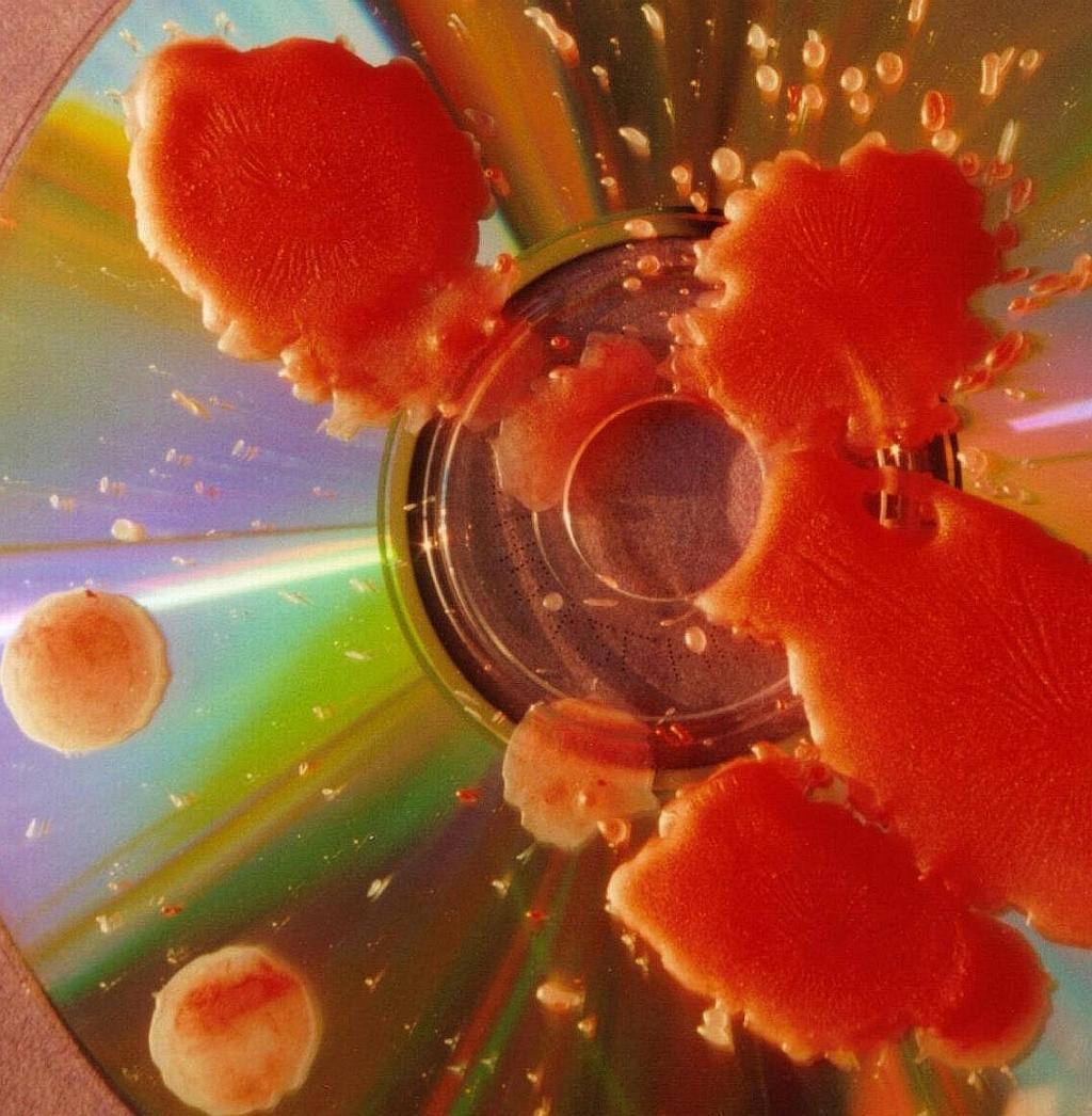 Fotografie von Isabella2006 für DesignCrowd (Community Contests) | Design #9074063