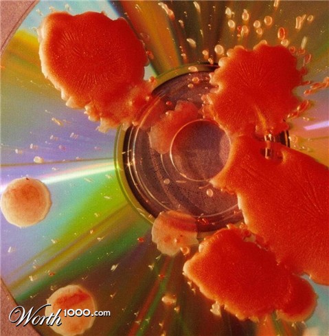 Photography by Isabella2006