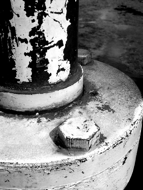 Photography by Flibble for DesignCrowd (Community Contests) | Design #9061343