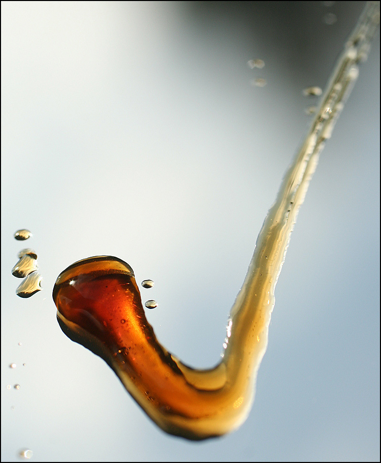 Photography by wiebeiw for DesignCrowd (Community Contests) | Design #9074073