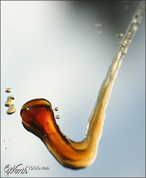 Photography by wiebeiw