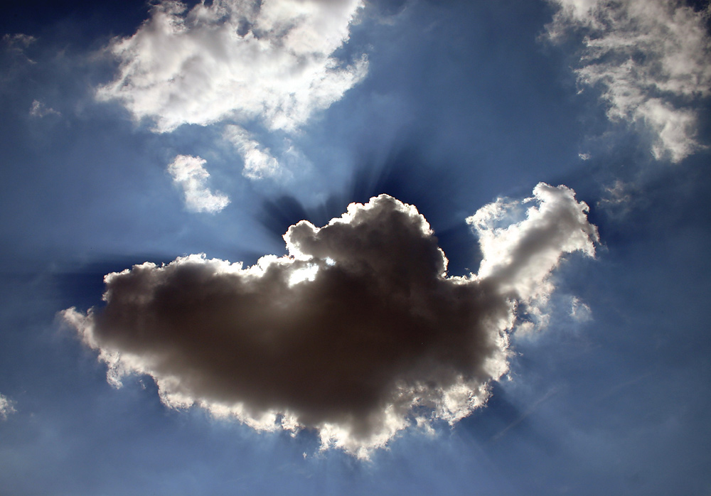 Photography by SigloV for DesignCrowd (Community Contests) | Design #9068326