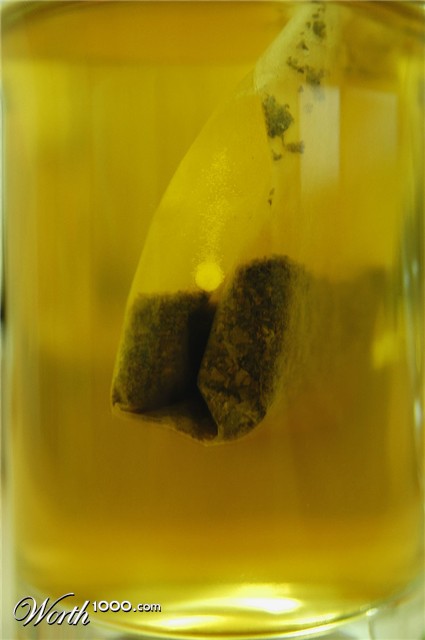 Photoshop Design by absguft