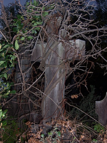 Fotografía por jessibot para DesignCrowd (Community Contests) | Diseño #9070277