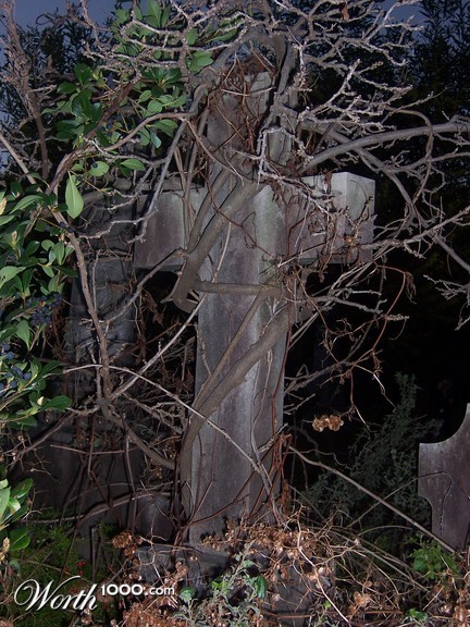 Photography by jessibot