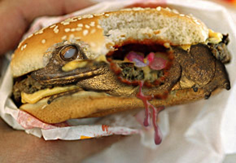 Photoshop Design by djod6367 for DesignCrowd (Community Contests) | Design #9068197