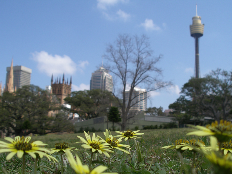 Fotografía por julianneovie para DesignCrowd (Community Contests) | Diseño #9073488