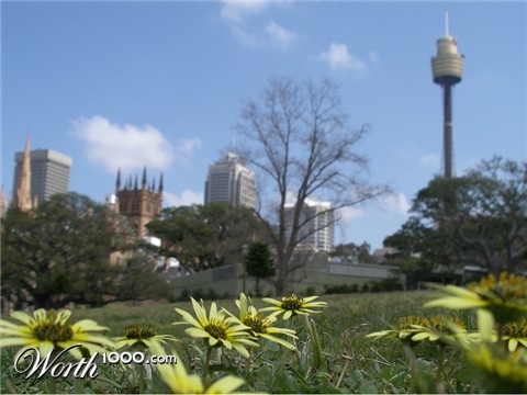 Photography by julianneovie