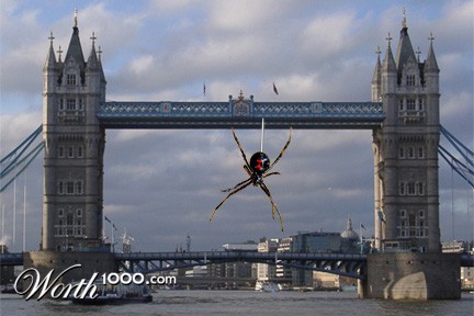 Photoshop Design by RaizerSabre