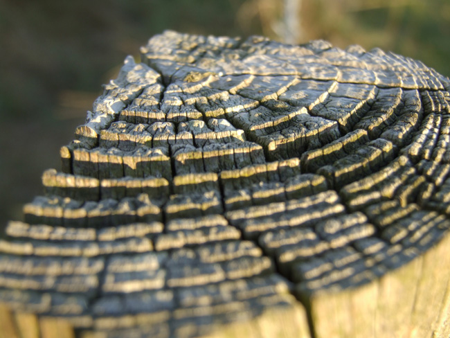 Fotografie von Flibble für DesignCrowd (Community Contests) | Design #9073540