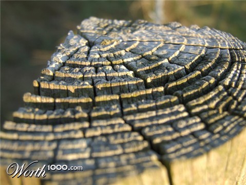 Photography by Flibble