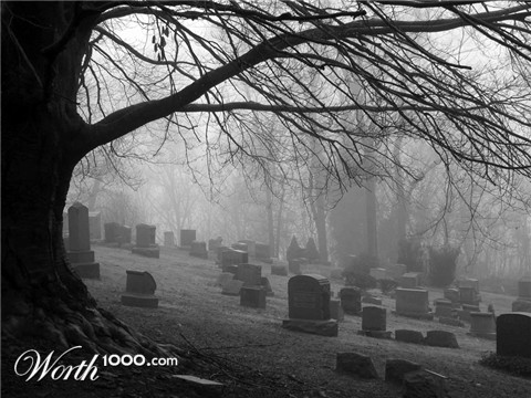 Photography by copr369