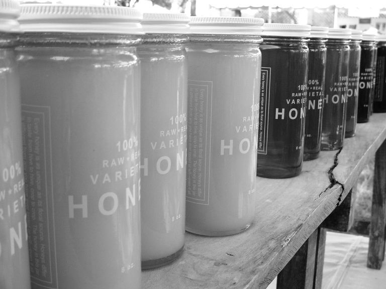 Photography by dawnwelsh for DesignCrowd (Community Contests) | Design #9061351