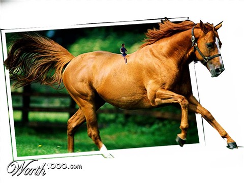 Photoshop Design by funky123