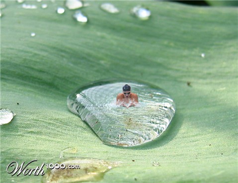 Photoshop Design by coolzero