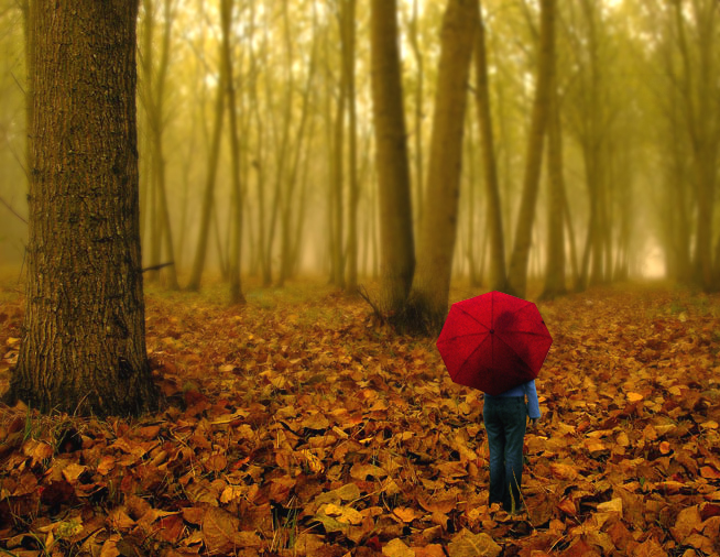 Photoshop-Design von zulittle für DesignCrowd (Community Contests) | Design #9068629