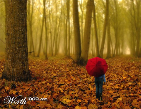 Photoshop Design by zulittle