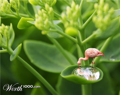 Photoshop Design by Ziaphra