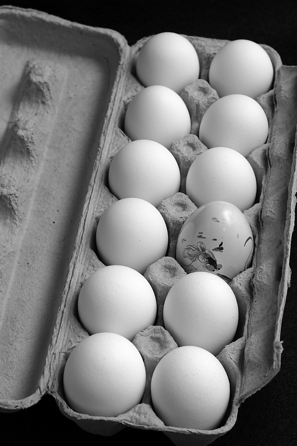 Photography by SigloV for DesignCrowd (Community Contests) | Design #9061349