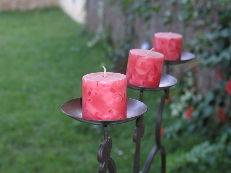 Photography by maas2000 for DesignCrowd (Community Contests) | Design #9073664