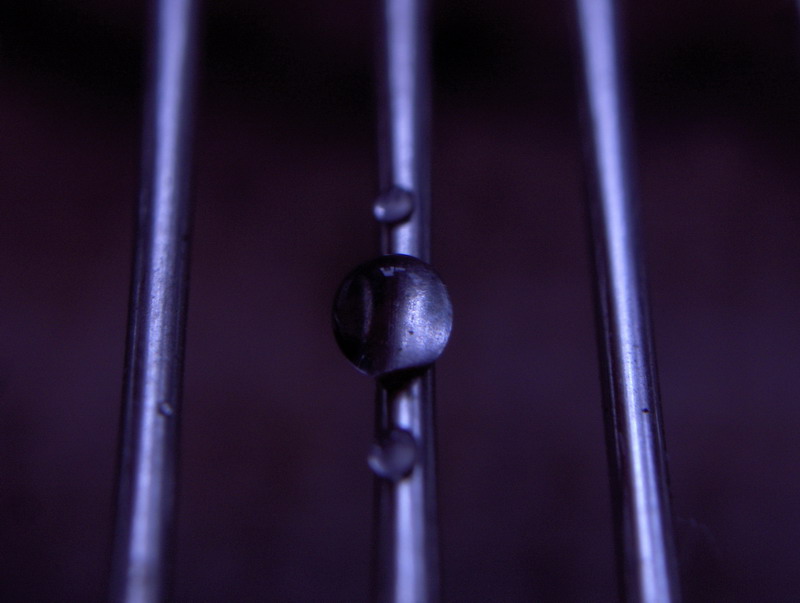 Photography by UNIquelyCanadian for DesignCrowd (Community Contests) | Design #9073618
