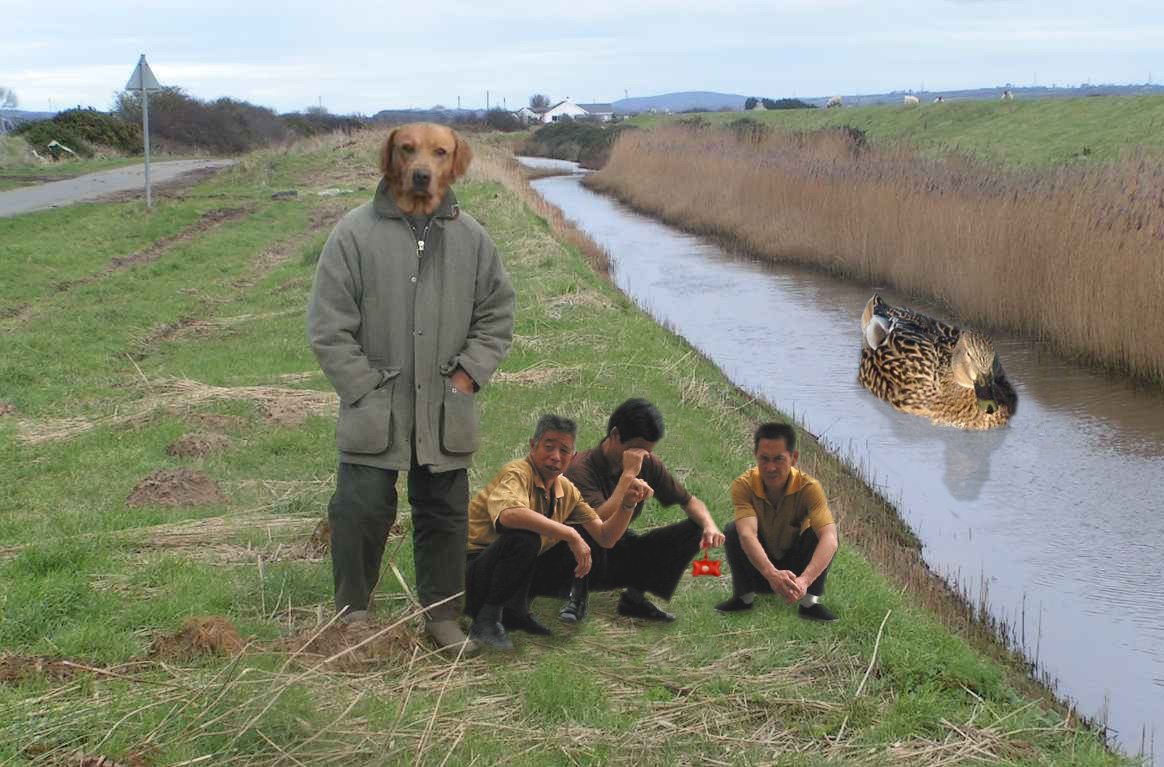 Photoshop Design by JavierPhoto for DesignCrowd (Community Contests) | Design #9068739