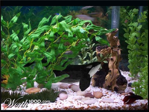 Photoshop Design by Lekore