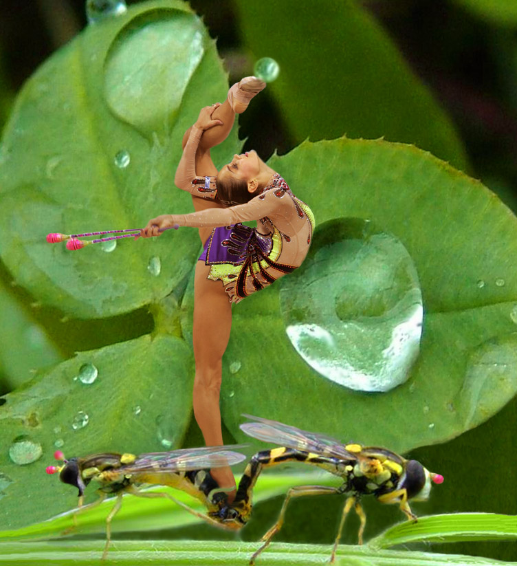 Design Photoshop par beeshamommy pour DesignCrowd (Community Contests) | Design #9068625