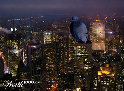 Photoshop Design by godzoriz