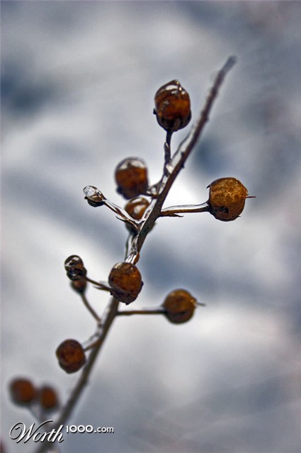 Photography by gdizzia