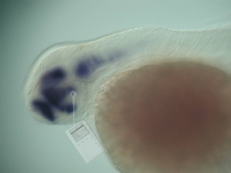 Diseño de Photoshop por Mokey117 para DesignCrowd (Community Contests) | Diseño #9064865