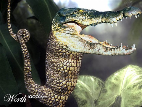 Photoshop Design by bruceleroy