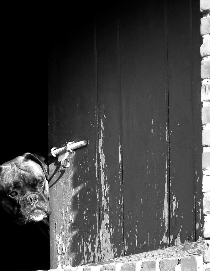 Photography by MilleDju for DesignCrowd (Community Contests) | Design #9062960