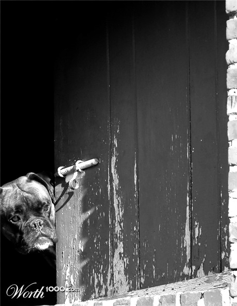 Photography by MilleDju