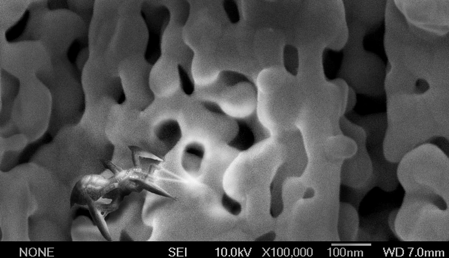 Design Photoshop par Gramlengo pour DesignCrowd (Community Contests) | Design #9064877