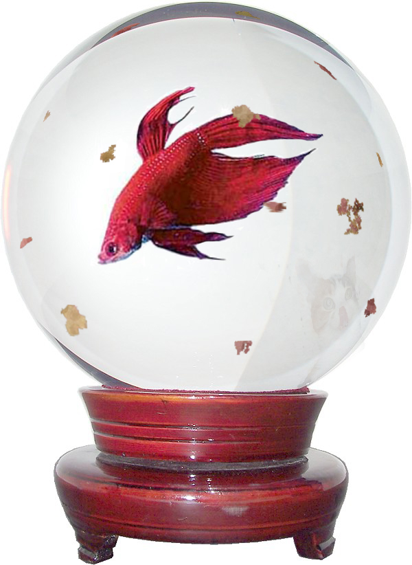 Photoshop Design by bcgirl007 for DesignCrowd (Community Contests) | Design #9064906