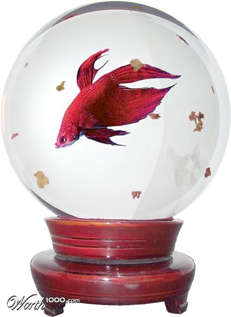 Photoshop Design by bcgirl007