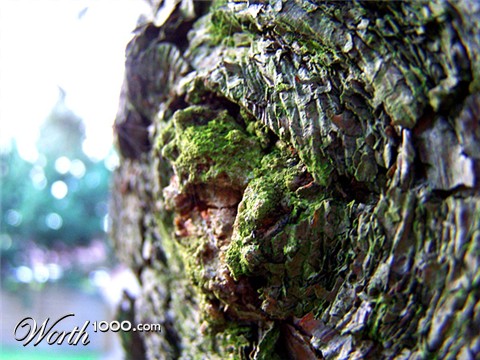 Photography by asmorod