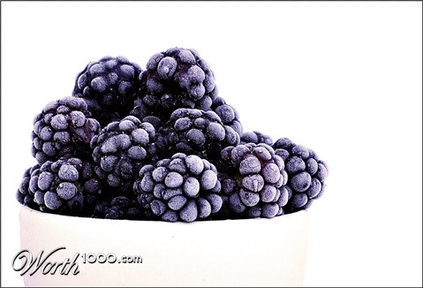 Photography by josephzl