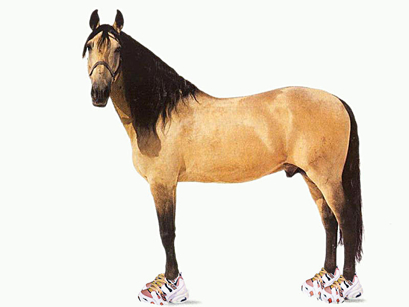 Photoshop-Design von absguft für DesignCrowd (Community Contests) | Design #9067467