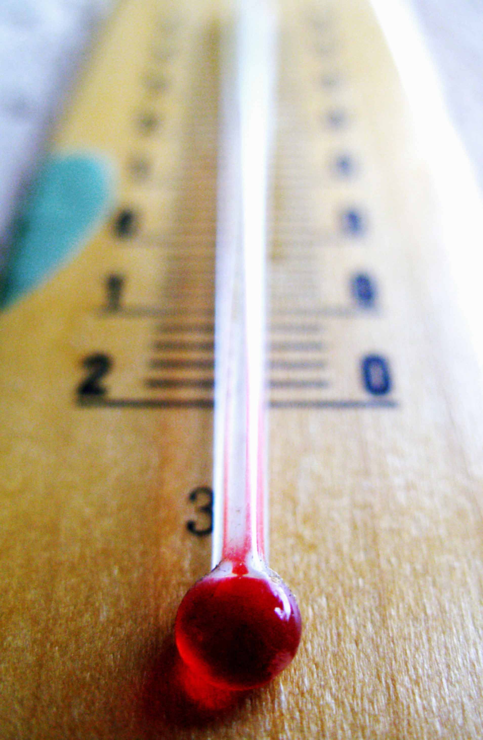 Photography by Chupakabra for DesignCrowd (Community Contests) | Design #9073593