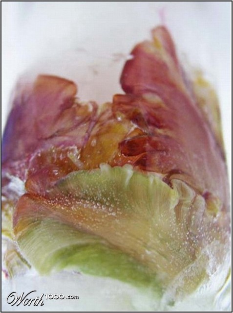 Photography by mzmzmzmz