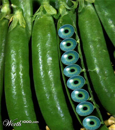 Photoshop Design by Phaero