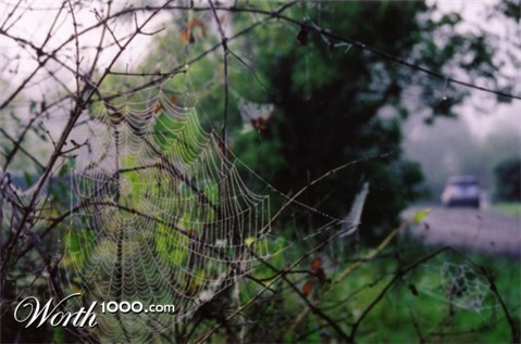 Photography by GreyMoon