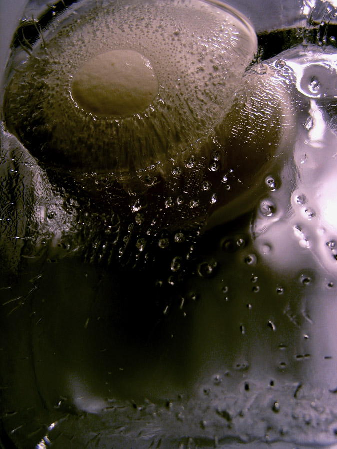 Photography by ecolio for DesignCrowd (Community Contests) | Design #9070715