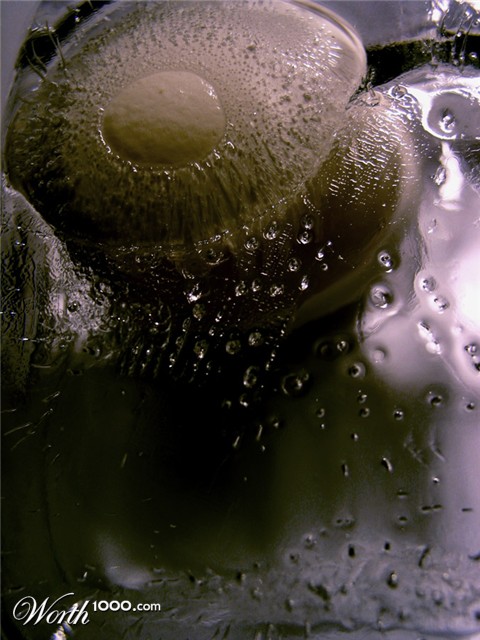 Photography by ecolio