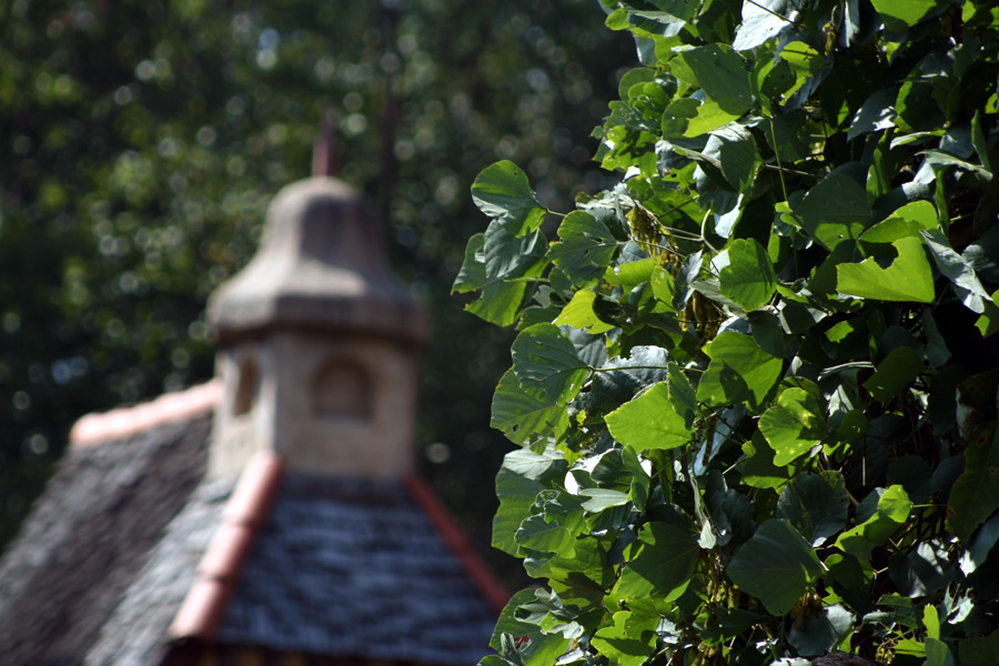 Photography by soulinferno13 for DesignCrowd (Community Contests) | Design #9073713