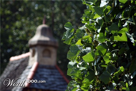 Photography by soulinferno13