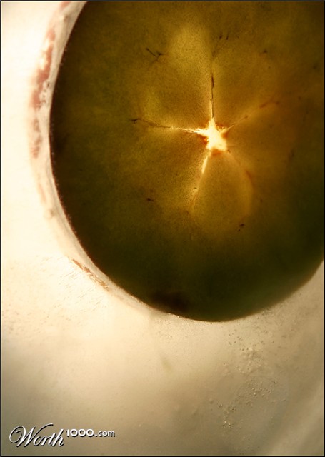 Photography by SigloV