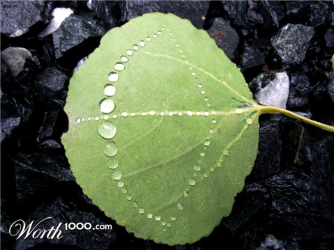 Photoshop Design by theone2Punch